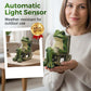 🐸 Enfeite de Cadeira de Balanço em Forma de Sapo com Energia Solar – Iluminação Ecológica e Charmosa para seu Jardim! ☀️🌿
