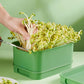 🌱 Caixa de cultivo empilhável para brotos de feijão – cultive brotos frescos em casa, de forma prática e sustentável! 💚✨