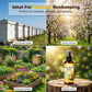🐝 Spray natural para atrair abelhas, para uso no exterior