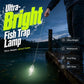 🎁 Compre 1 e ganhe 1 grátis! Lâmpada ultrabrilhante para armadilhas – mais luz, mais peixes, mais resultados! 💡🐟✅
