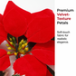 🎁 Compre 2 e ganhe 1 grátis! 🎄 Luzes de Natal em forma de flor de poinsétia – um toque mágico para sua decoração! ✨🔴