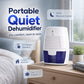 🌧️ Mini desumidificador portátil para casa – reduz umidade, mofo e condensação com facilidade! 💨✨